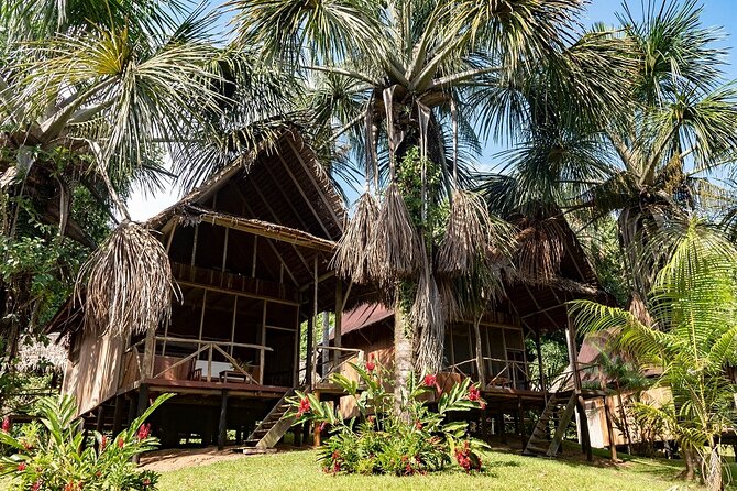 3 Day Pacaya Samiria Amazon Nature Reserve From Iquitos - Itinerary Details