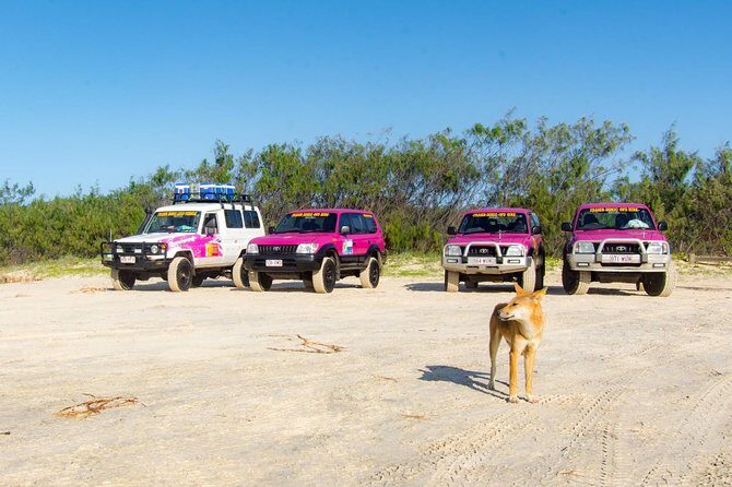 3 Day PINK4WD Tagalong Tour - K'gari/Fraser Island - Key Points