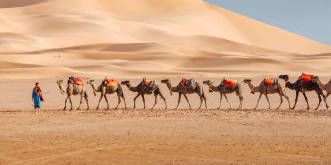3-Day Private Casablanca to Marrakech Desert Sahara Tour - Ouarzazate and Atlas Studios Tour