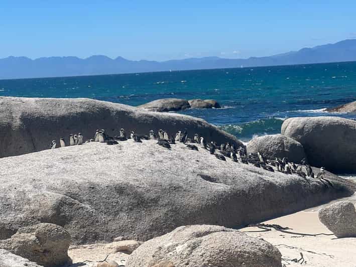 3-Day Private Guided Tour to Cape Towns Top Attractions - Good To Know