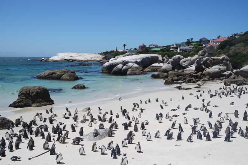 3-Day Private Guided Tour to Cape Towns Top Attractions - Tour Overview