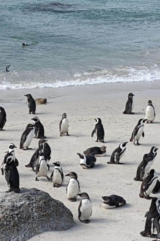 3-Day Private Guided Tour to Cape Towns Top Attractions - Day 2: Award-Winning Winelands Tour