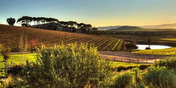 3-Day Private Guided Tour to Cape Towns Top Attractions - Day 3: Robben Island, Table Mountain, Cape City Tour