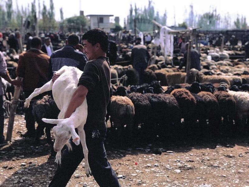 3-day private healing tour of Kashgar: cultural and natural - Key Points  