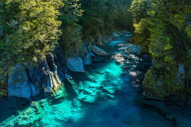3 Day Private Photography Tour West Coast NZ Departs Queenstown - Analyzing the Value