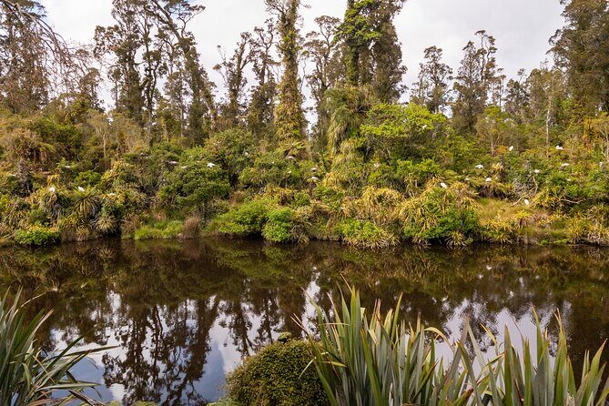 3 Day Private Photography Tour West Coast NZ Departs Queenstown - FAQ