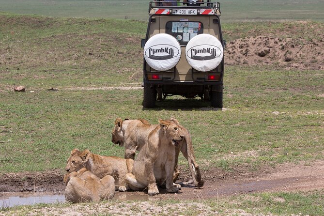 3 Day Private Serengeti Safari Tour With One Way Flight - Pricing and Inclusions