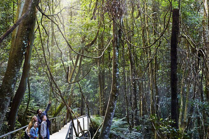 3 Day Private Tour in Blue Mountains and Kiama in Sydney City - An In-Depth Look at the 3-Day Private Tour