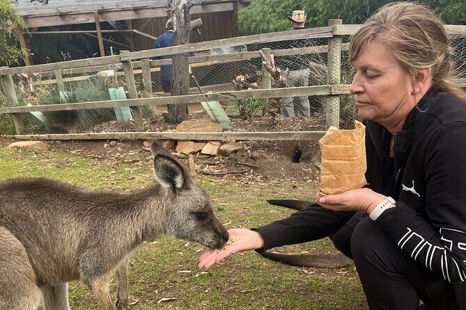 3 Day Private Tour in Tasmania - In-Depth Look at the Itinerary