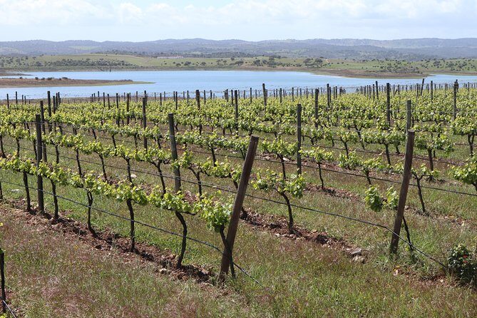 3 Day Private Tour in the Algarve from Lisbon - The Sum Up