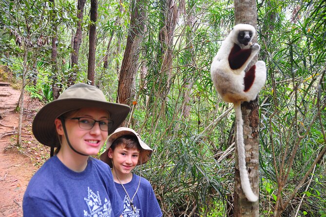 3-Day Private Tour to Andasibe National Park - Accommodation Options