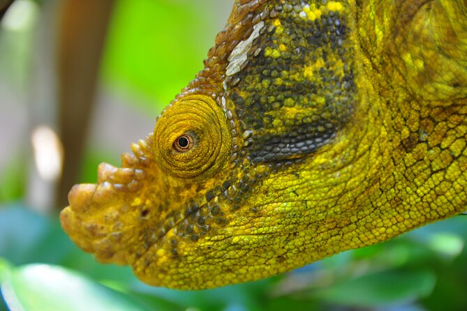 3-Day Private Tour to Andasibe National Park - Included Activities