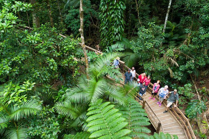 3 Day Reef Cruise, 4WD Rainforest and Outback Chillagoe Package - Key Points