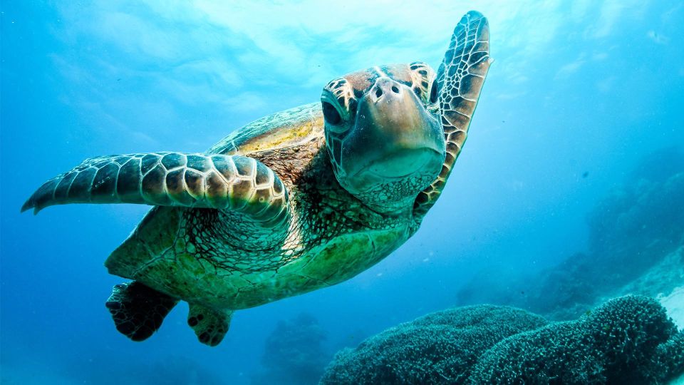 3-Day Reef, Rainforest and Outback Package - Key Points