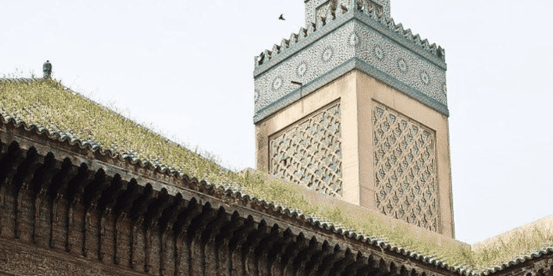 3 Day Round Trip From Marrakech via Fes & Chefchaouen - Good To Know