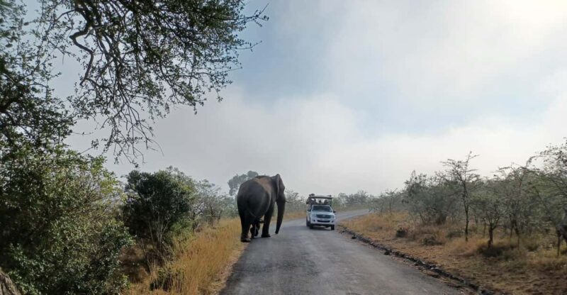 3 Day Safari In Kruger National Park - Good To Know