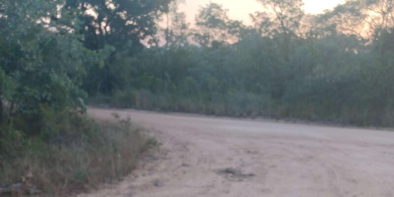 3 Day Safari In Kruger National Park - Accommodation and Meals