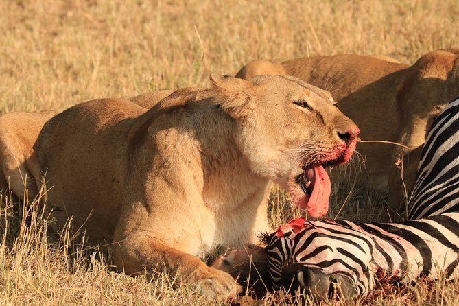 3-Day Safari in Serengeti & Ngorongoro(Mid-range) - Packing Essentials