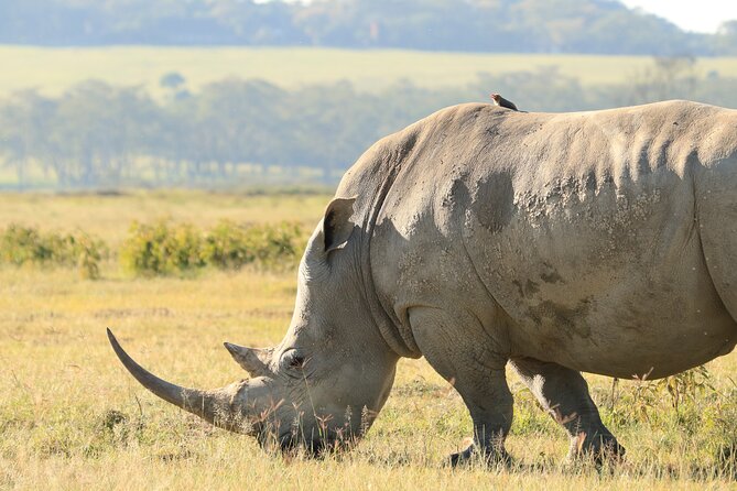 3-Day Safari in Serengeti & Ngorongoro(Mid-range) - Booking and Payment