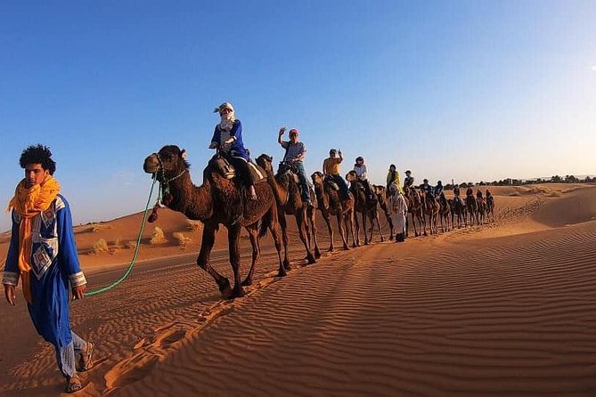 3 Day Sahara Desert Tour From Marrakech - Tour Highlights
