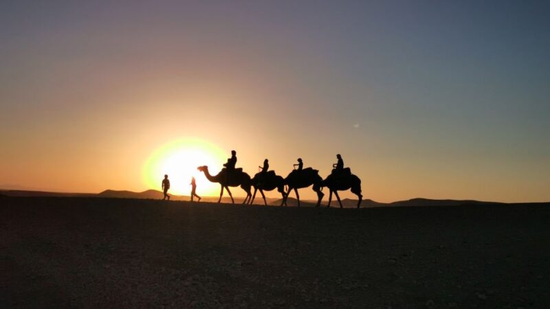3-Day Sahara Tour to Merzouga With Lodging & Food - Day 1: Discover the High Atlas