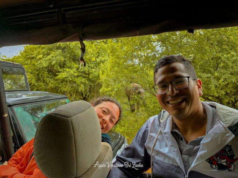 3-Day Sri Lanka Tour: Kandy Nuwara Eliya Ella & Yala Safari - Transportation and Comfort