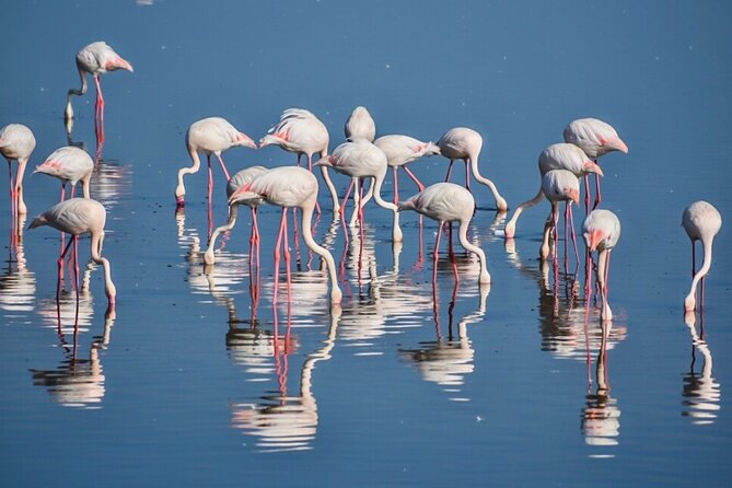 3-Day Tarangire, Ngorongoro Crater, Manyara Park - Meeting and Pickup Arrangements