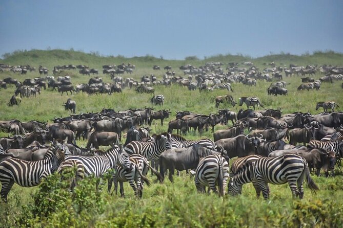 3-Day Tarangire, Ngorongoro Crater, Manyara Park - Cancellation Policy