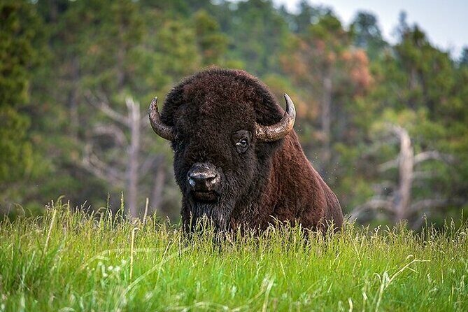 3-Day Tour from Calgary: Banff, Drumheller & Waterton - An In-Depth Look at the 3-Day Alberta Adventure
