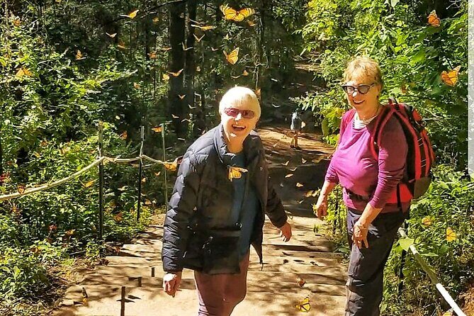 3 day Tour to Discover the Magic of Mexico & Monarch Butterflies - Portioning the Cost: Is It Worth It?