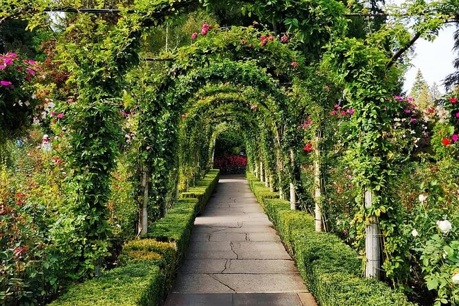 3-Day Tour to Vancouver Island W/ YVR Airport Pickup (Eng&Mandarin) - Reservation