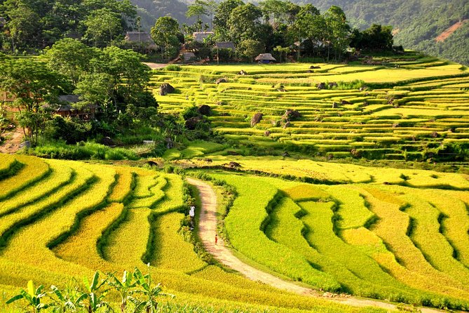 3-Day Trekking In Pu Luong Nature Reserve Private Tour - Day 3 Itinerary