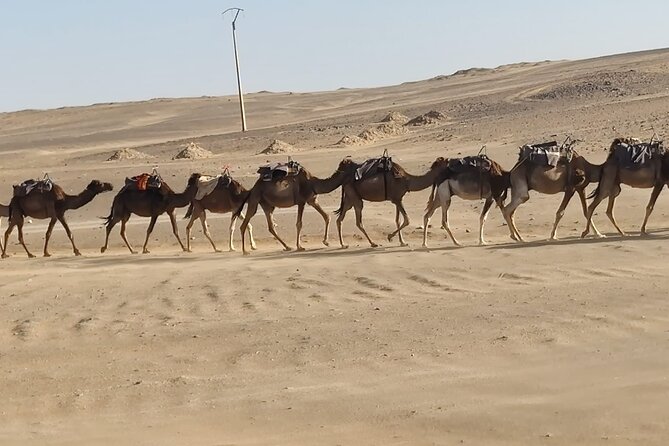 3-Day Trip From Fez to Marrakech via Merzouga Desert - Discovering Taourirt Kasbah