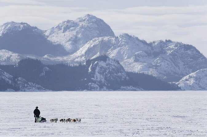 3-Day Ultimate Whitehorse Experience With Indigenous Culture - Final Thoughts