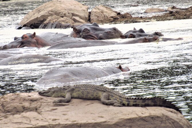 3 Days 2 Nights Maasai Mara Safari Transport 4x4 Landcruiser Jeep - Meeting and Pickup