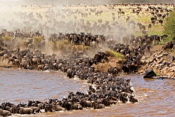 3 Days 2 Nights Masai Mara Budget Safari From Nairobi - Pricing and Cancellation Policy