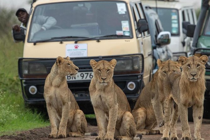 3 Days 2 Nights Masai Mara Joining Safari From Nairobi - Pickup and Drop-off Details