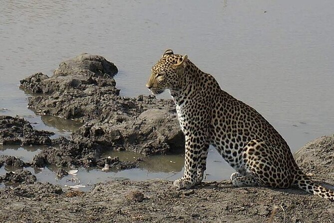3 Days 2 Nights Mikumi National Park From Dar Es Salaam Road Trip - Booking and Cancellation