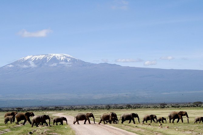 3 Days (2 Nights); Tsavo East & Amboseli Safari: - Accessibility Features