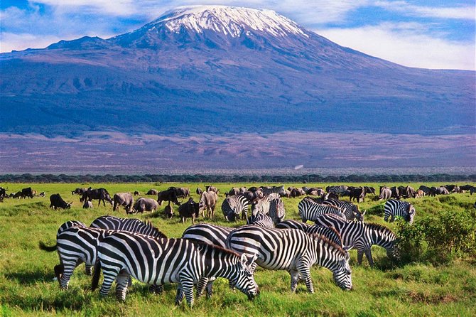 3 Days (2 Nights); Tsavo East & Amboseli Safari: - Traveler Reviews