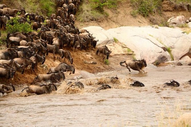 3 Days Adventurous Maasai Mara Budget Group Safari - Booking and Cancellation Policy