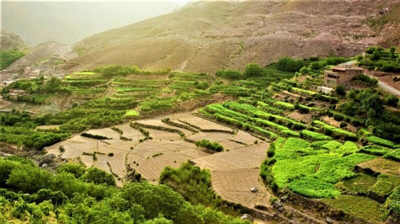 3 Days: Atlas Mountains, Berber Villages & Toubkal Ascent - Hiking and Climbing