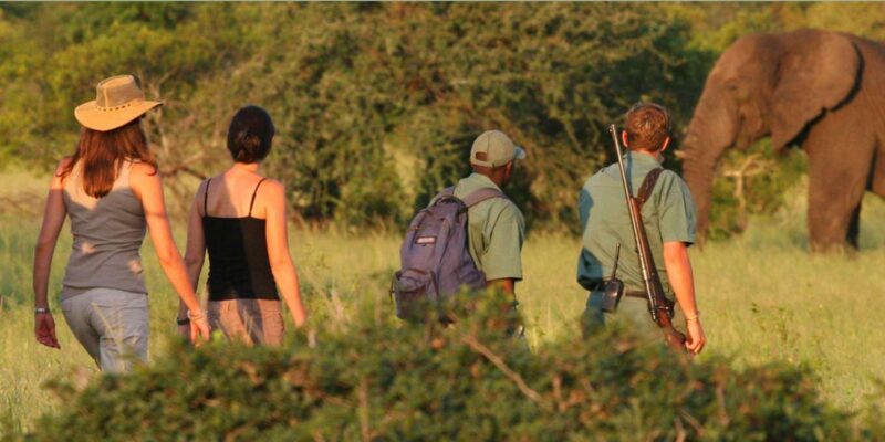 3 Days Big 5 Kruger National Park Safari From Johannesburg - Safari Experience