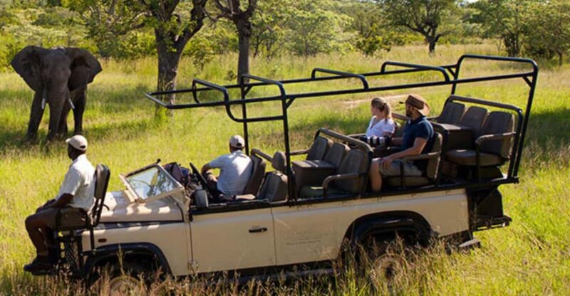 3 Days Big 5 Kruger National Park Safari From Johannesburg - Daily Itinerary