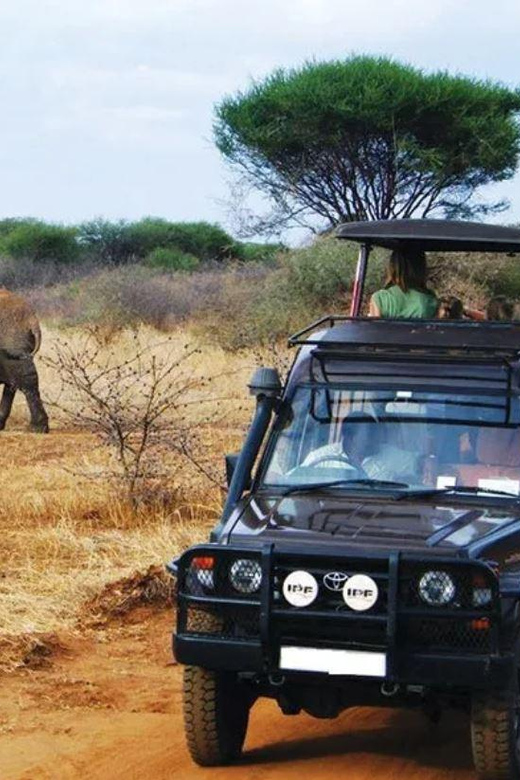3 Days Big 5 Kruger National Park Safari From Johannesburg - Inclusion and Accessibility