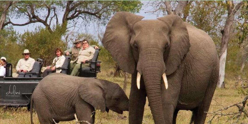 3 Days Big 5 Kruger National Park Safari From Johannesburg - Wildlife Encounters