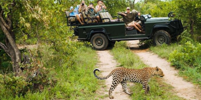 3 Days Big 5 Kruger National Park Safari From Johannesburg - Conservation Commitment