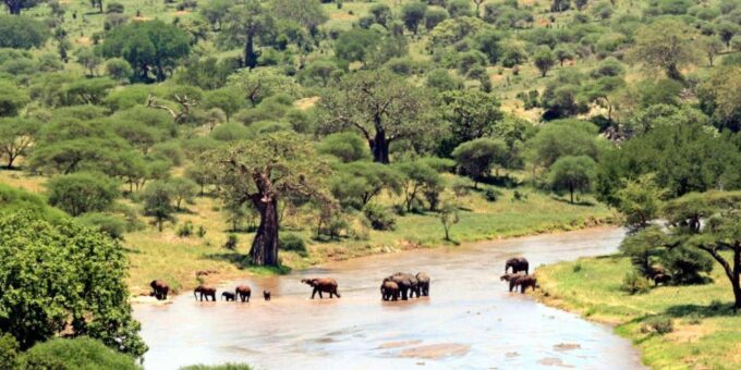 3 Days Big 5 Kruger National Park Safari From Johannesburg - Accommodation