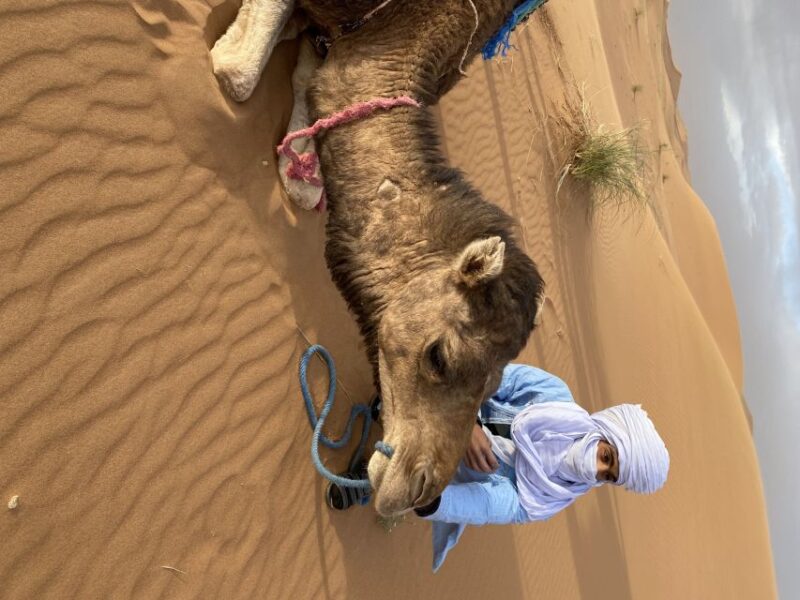 3 Days Camel Trekking in Morocco Desert Tour - Good To Know