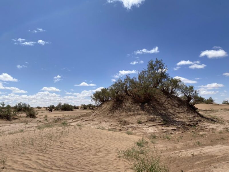 3 Days Camel Trekking in Morocco Desert Tour - Inclusions and Extras